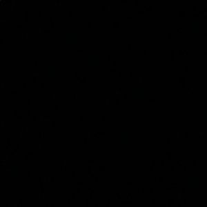 Meet your Posher, Alanah